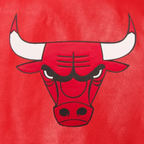 Chicago Bulls Full Leather Varsity Jacket - Red - Image 3