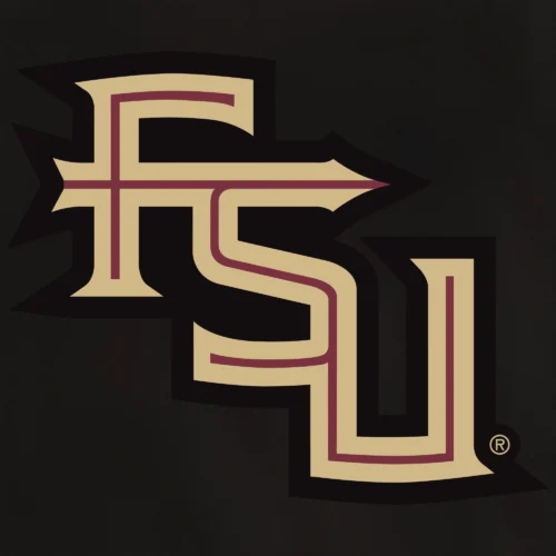 Florida State Seminoles One Color Full Wool Black Varsity Jacket - Image 4