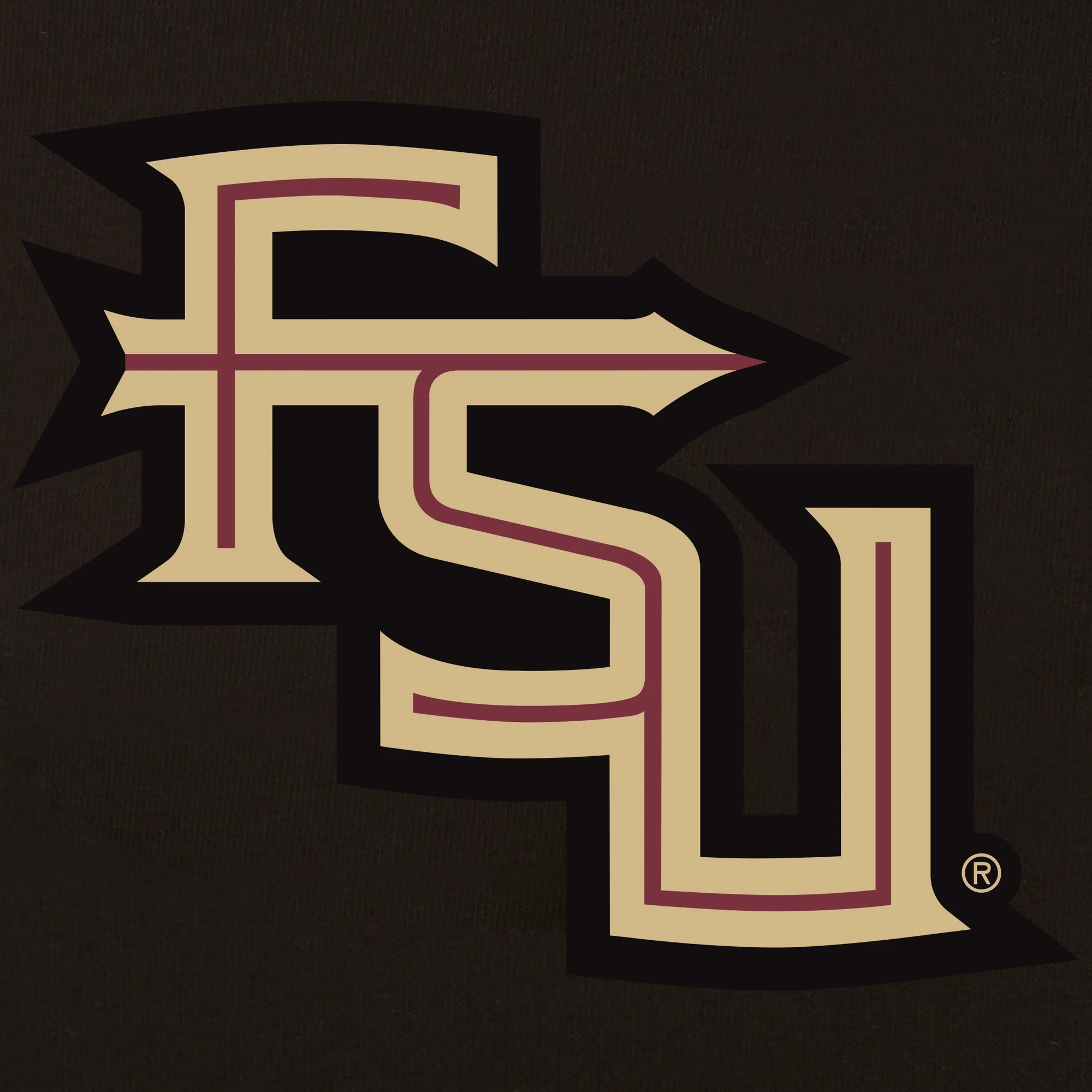 Florida State Seminoles Two Tone Black/White Wool & Leather Varsity Jacket - Image 4