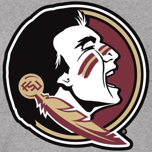 Florida State Seminoles Two Tone Full Wool Gray/Black Varsity Jacket - Image 3