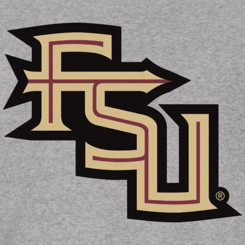 Florida State Seminoles Two Tone Full Wool Gray/Black Varsity Jacket - Image 4