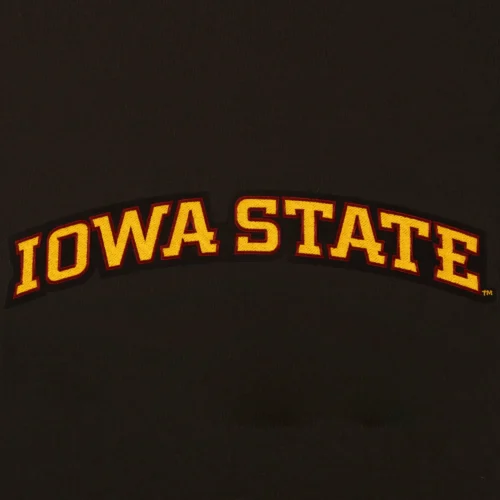 Iowa State Cyclones One Color Black Wool & Leather Varsity Jacket - Image 3