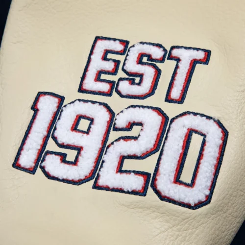 Golf Wang Full-Snap Wool & Leather Varsity Jacket - Image 9